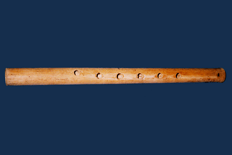 vivo tauaru